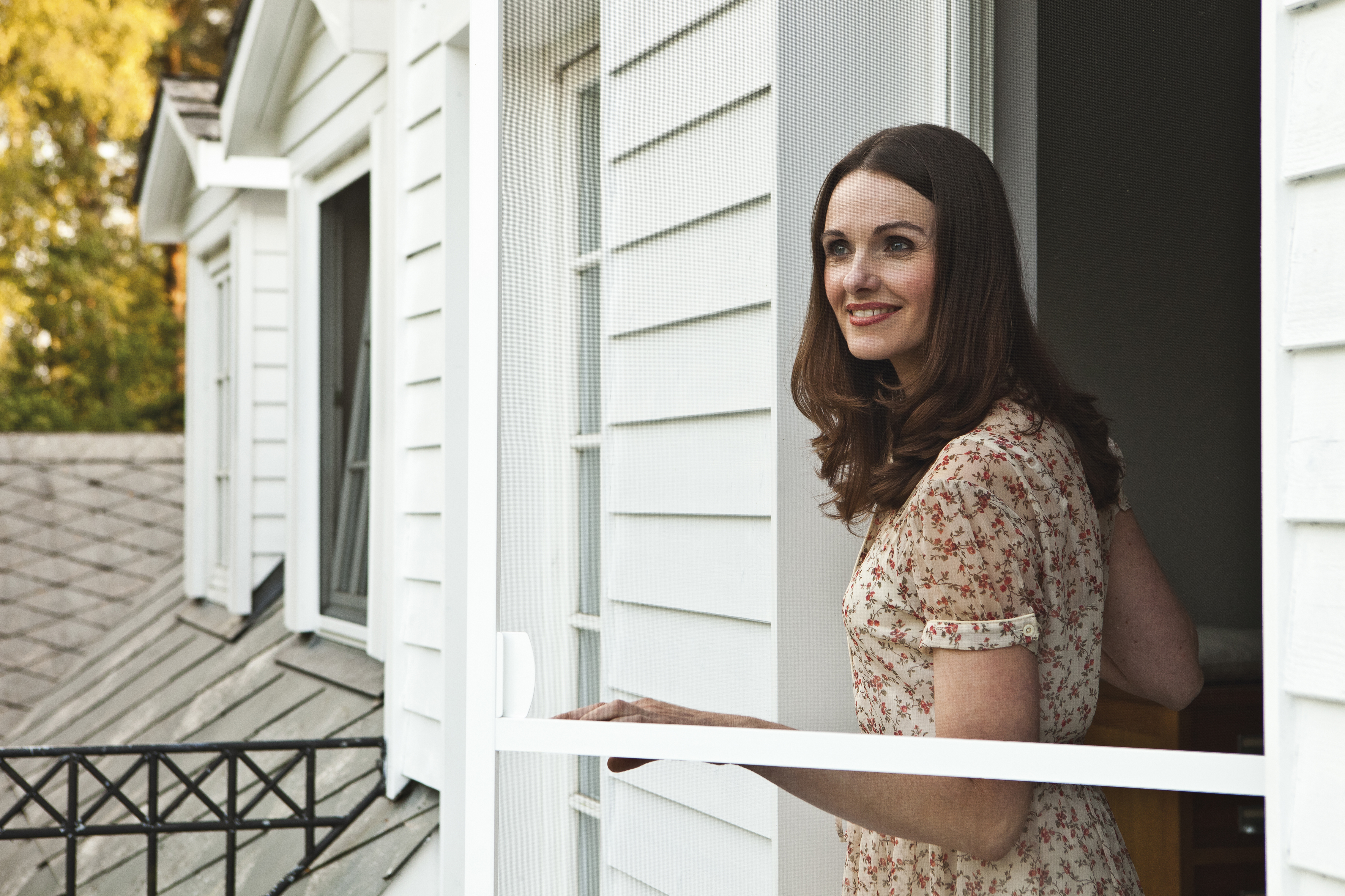 Insektenschutz Banner